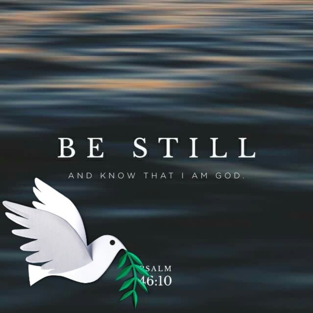 Meet your Posher, Yemi